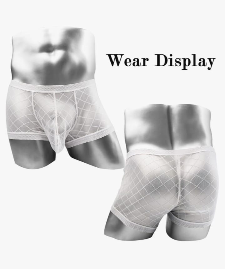 Men's Mesh See Through Boxer Briefs, Sheer Lace Underwear